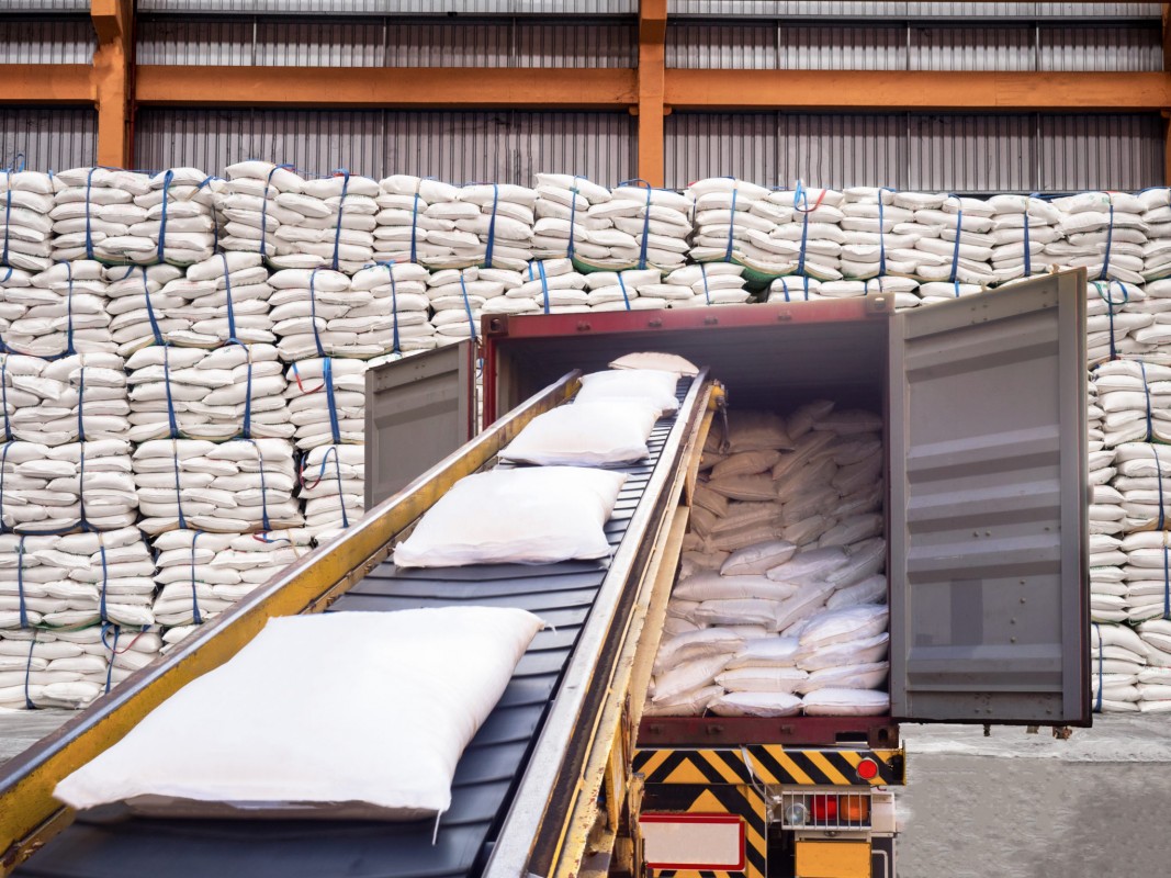 white baking wheat flour from Russia